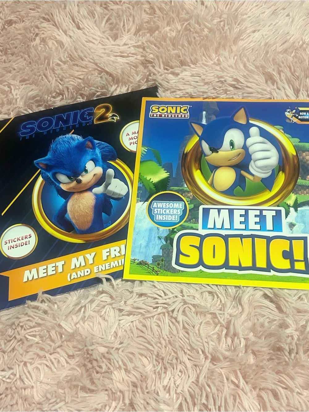 2 Brand New Sonic the Hedgehog Books with Free Gift